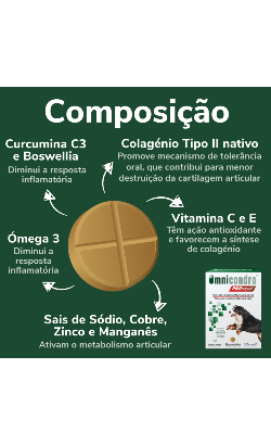 Comprimidos Omnicondro ProRapid – imagem secundária 4