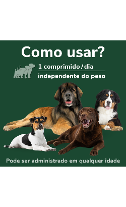 Comprimidos Omnicondro ProRapid – imagem secundária 5