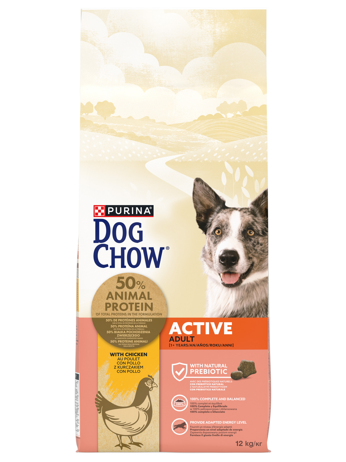 Dog Chow Adult Active | Chicken – imagem secundária 1