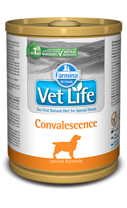 Farmina Vet Life Canine Convalescence – imagem principal