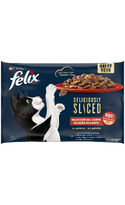 Felix Deliciously Sliced Seleção do Campo – imagem principal