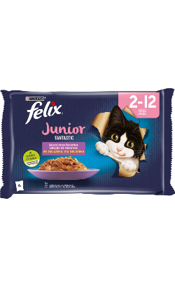 Felix Fantastic Junior Grelhados em Gelatina – imagem principal