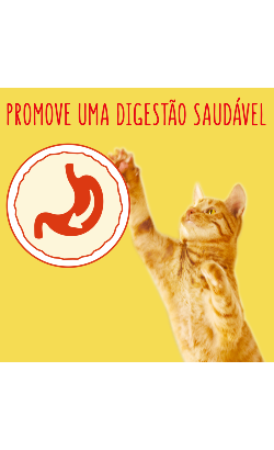Friskies Gato Adulto | Coelho, Frango & Legumes – imagem secundária 2