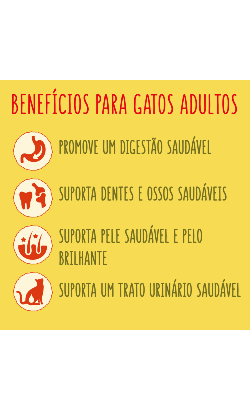 Friskies Gato Adulto | Peixe Oceano & Legumes – imagem secundária 1