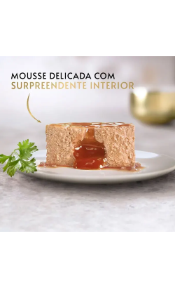 Gourmet Gold Fondant Frango – imagem secundária 2