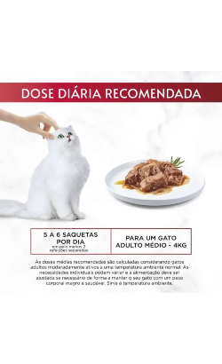 Gourmet Mon Petit Intense Irresistíveis Receitas com Peixes – imagem secundária 4