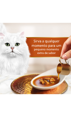Gourmet Soup Royale Frango – imagem secundária 5