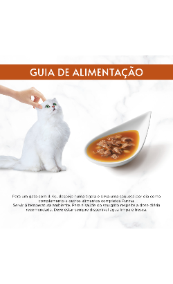 Gourmet Soup Royale Frango – imagem secundária 8