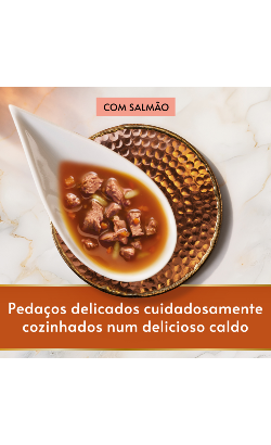 Gourmet Soup Royale Salmão – imagem secundária 3