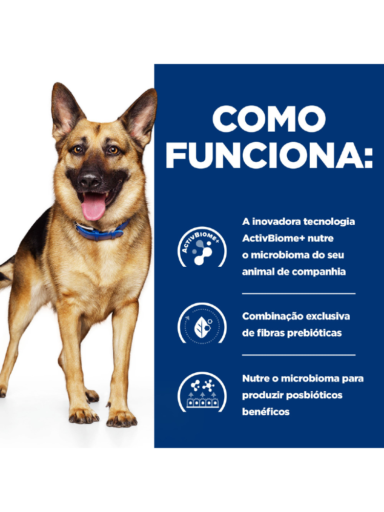 Hills Prescription Diet Canine Gastrointestinal Biome Digestive/Fibre Care with Chicken – imagem secundária 2
