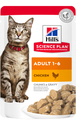 Hills Science Plan Adult Cat with Chicken