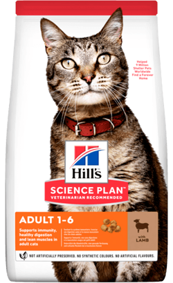 Hills Science Plan Adult Cat with Lamb – imagem principal