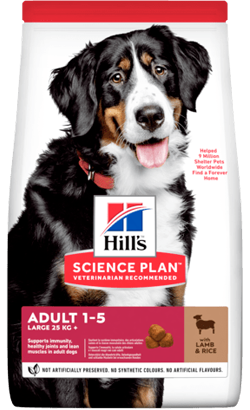 Hills Science Plan Adult Large Breed with Lamb & Rice