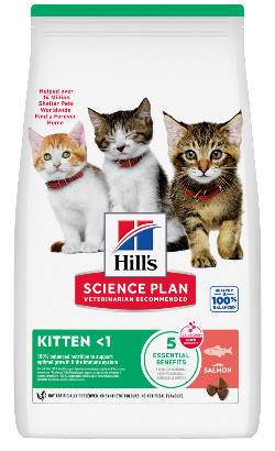 Hills Science Plan Cat Kitten with Salmon