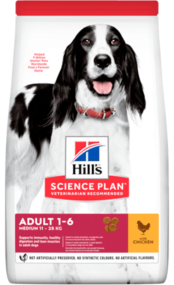 Hills Science Plan Medium Adult with Chicken