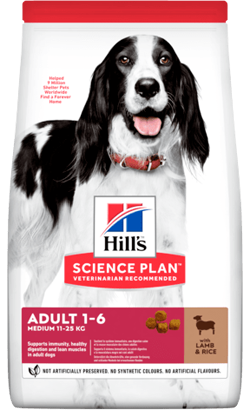 Hills Science Plan Medium Adult with Lamb & Rice