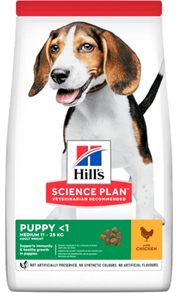 Hills Science Plan Medium Puppy with Chicken – imagem principal