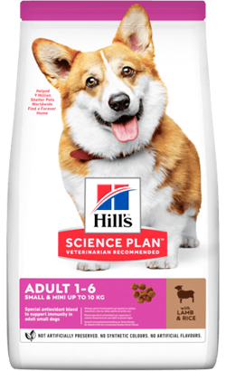 Hills Science Plan Small & Mini Adult with Lamb & Rice