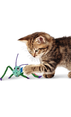 Kong Cat Crackels Grasshopper – imagem secundária 1