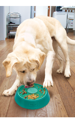Kong Licks Spinz Tapete de Lamber para Cão e Gato – imagem secundária 2