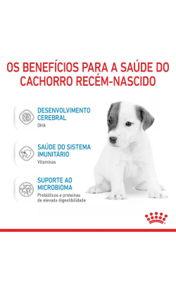 Leite em Pó para Cão Royal Canin Babydog Milk – imagem secundária 5