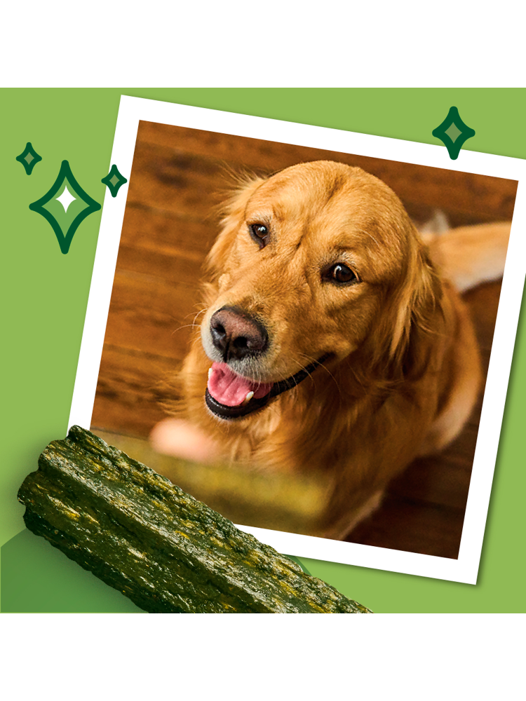 Lilys Kitchen Woofbrush Dental Chews Medium – imagem secundária 4