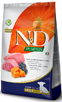 N&D Pumpkin Lamb & Blueberry Puppy Mini – imagem principal