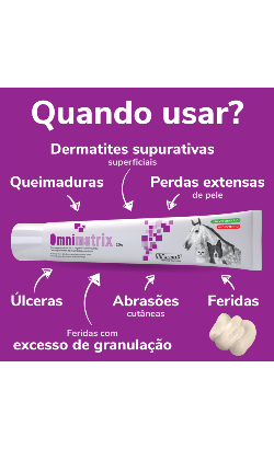 Omnimatrix – imagem secundária 3