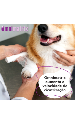 Omnimatrix – imagem secundária 4