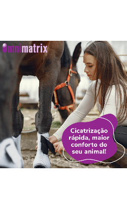 Omnimatrix – imagem secundária 5
