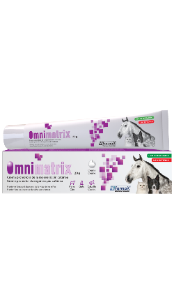 Omnimatrix – imagem principal