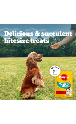 Pedigree Tasty Minis Chewy Slices Beef & Poultry – imagem secundária 3