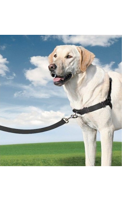 Peitoral para cão Nayeco Easy Walk Harness Black – imagem secundária 2