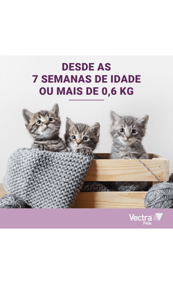 Pipetas para Gatos Vectra Felis – imagem secundária 4