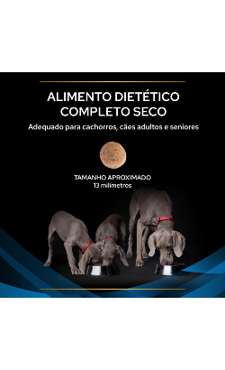 PPVD Canine DRM - Dermatosis – imagem secundária 3