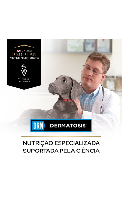 PPVD Canine DRM - Dermatosis – imagem secundária 5