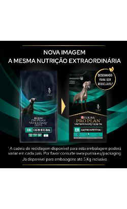 PPVD Canine EN - Gastrointestinal – imagem secundária 1
