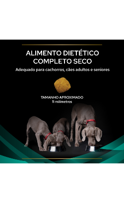 PPVD Canine EN - Gastrointestinal – imagem secundária 3