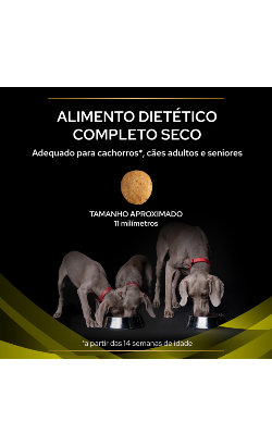 PPVD Canine HP - Hepatic – imagem secundária 3