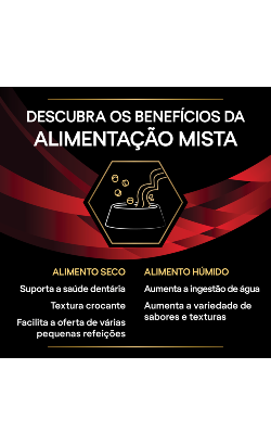 PPVD Feline DM - Diabetes Management – imagem secundária 4