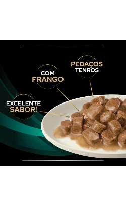 PPVD Feline EN - Gastroenteric Chicken – imagem secundária 3
