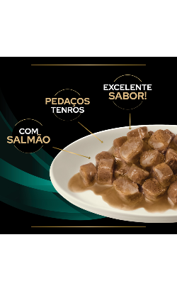 PPVD Feline EN - Gastroenteric Salmon – imagem secundária 3