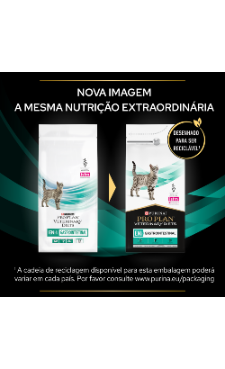 PPVD Feline EN - Gastrointestinal – imagem secundária 1