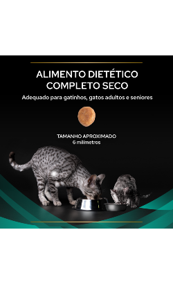 PPVD Feline EN - Gastrointestinal – imagem secundária 3