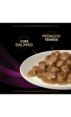 PPVD Feline UR St/Ox Urinary Salmon – imagem secundária 3