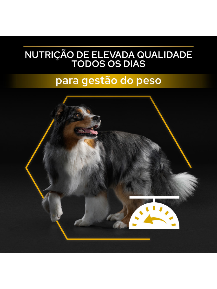 Pro Plan All Size Adult Light / Sterilised Chicken - Bónus – imagem secundária 1