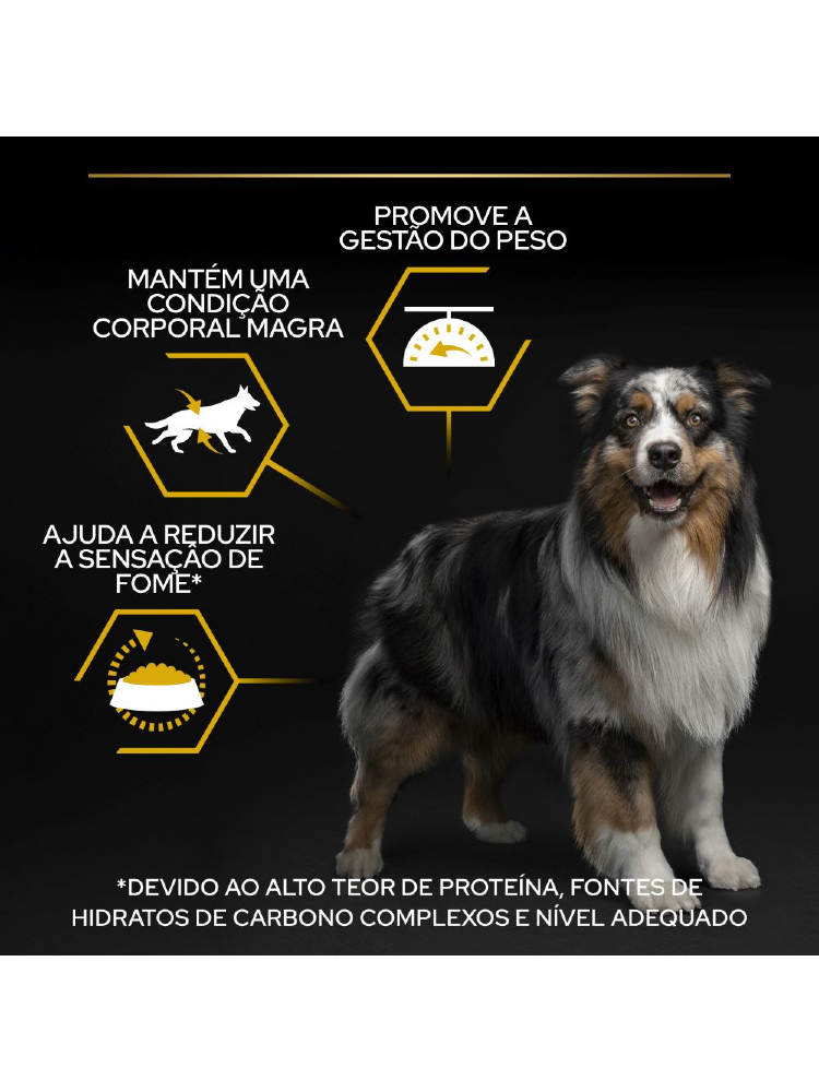 Pro Plan All Size Adult Light / Sterilised Chicken - Bónus – imagem secundária 2