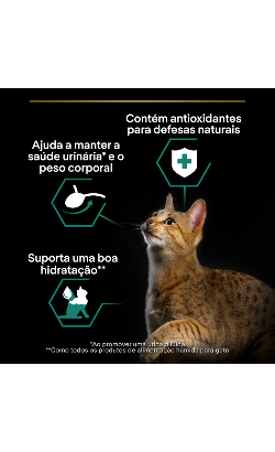 Pro Plan Cat Adult Sterilised Maintenance Multipack Beef & Chicken in Gravy – imagem secundária 5