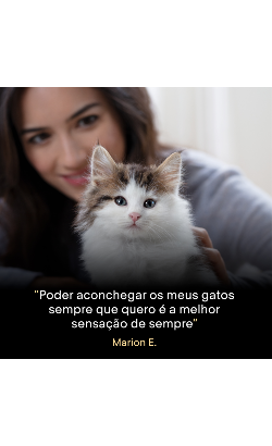 Pro Plan Cat Liveclear Kitten Turkey – imagem secundária 5