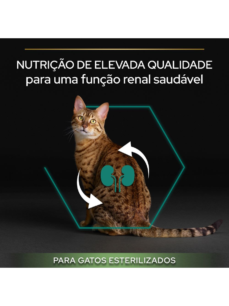 Pro Plan Cat Renal Plus Sterilised Adult Turkey & Rice – imagem secundária 3